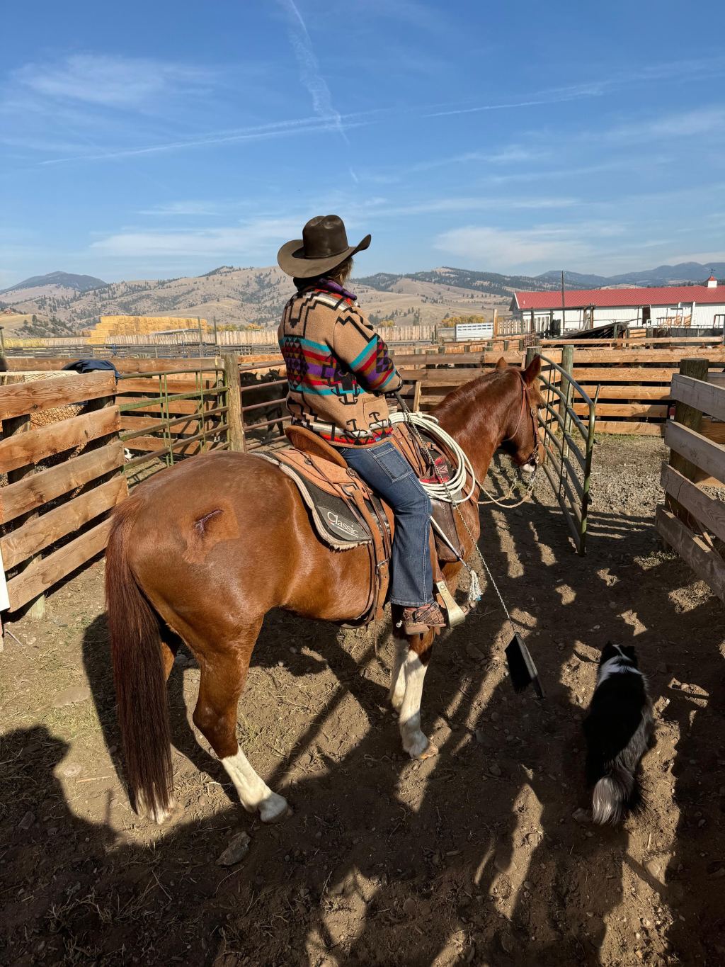 It’s a wonderful&nbsp;life